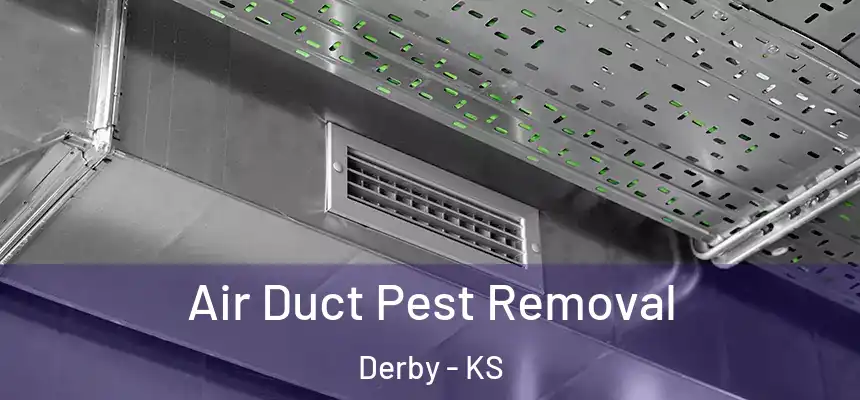 Air Duct Pest Removal Derby - KS