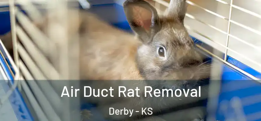 Air Duct Rat Removal Derby - KS