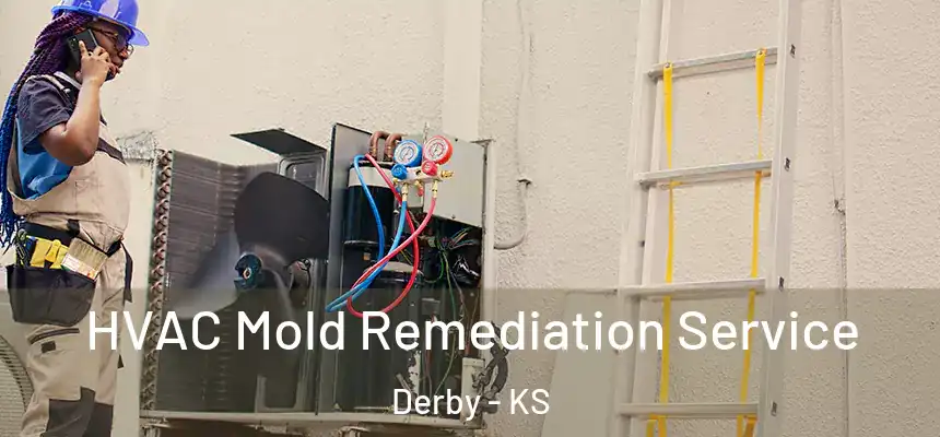  HVAC Mold Remediation Service Derby - KS