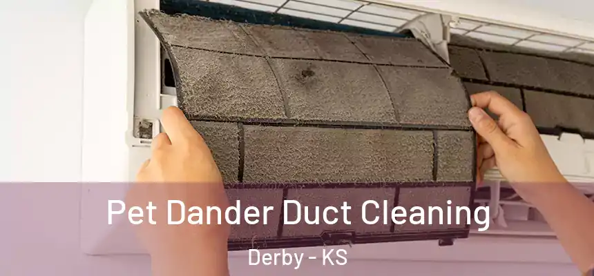 Pet Dander Duct Cleaning Derby - KS