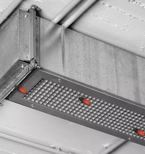 About Air Duct Cockroach Removal in Derby, KS
