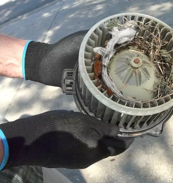 About Air Duct Rat Removal in Derby, KS