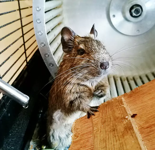 Why Homeowners & Businesses Trust Us Derby, KS